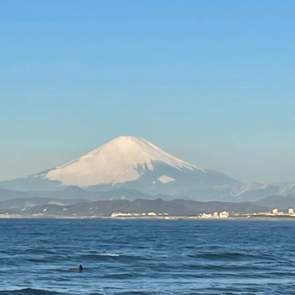 ペンギンだよりvol.4（2023年2月）