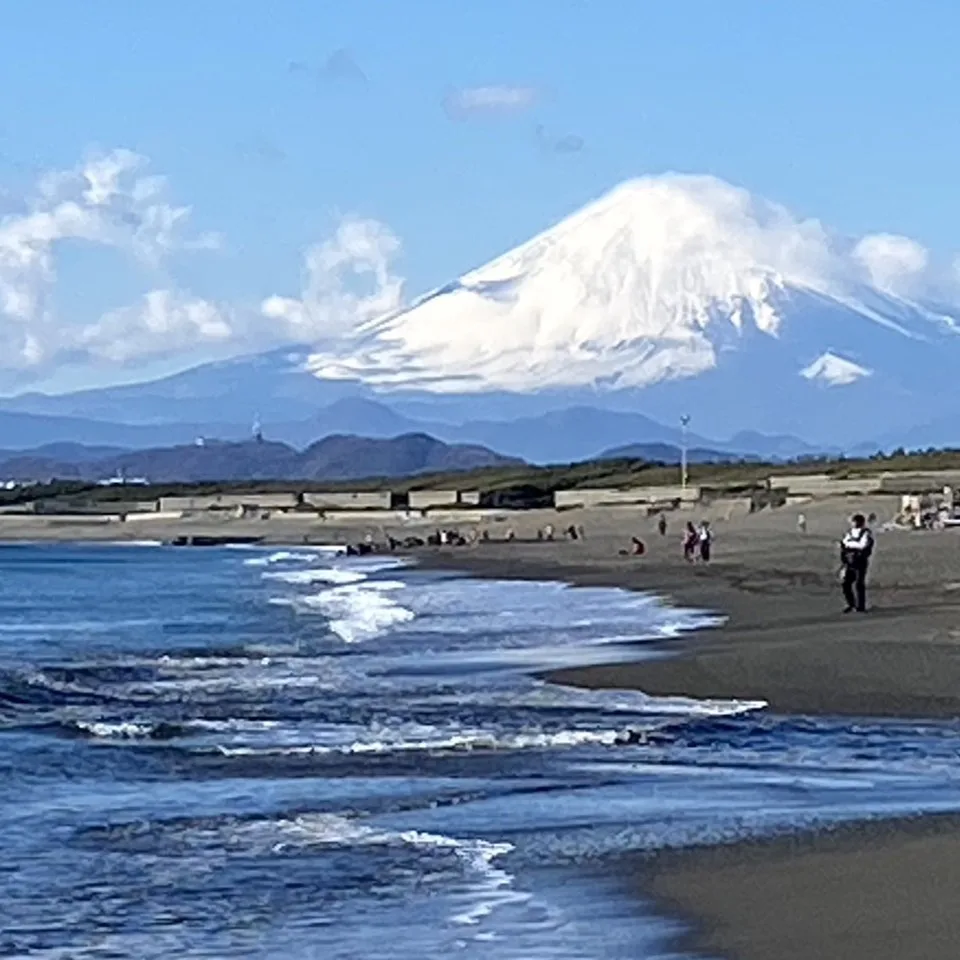ペンギンだよりvol.7（2024年1月）