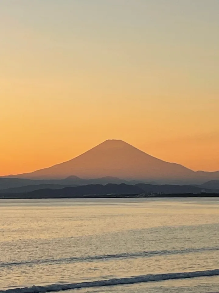 ペンギンだよりvol.14（2025年11月）